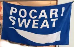 2025年最新】ポカリスエットバスタオルの人気アイテム - メルカリ