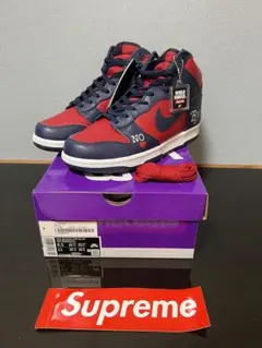 Supreme × Nike SB Dunk High By Any Means