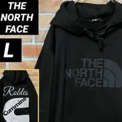 THE NORTH FACE パーカー フーディー ビッグプリント デカロゴ