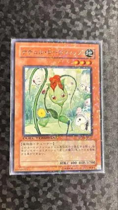 遊戯王　ナチュルローズウィップ　3枚　DT04 Amazon.co.jp: ナチュル・ローズウィップ(ターミナル) 【R】 DT04
