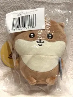 ナガノのカワウソ　ぬいぐるみくじ　D賞