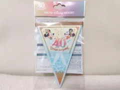 東京ディズニーリゾート 40周年 ドリームゴーラウンド フラッグのサムネイル