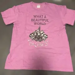 Item thumbnail for item 482a5d8f-1c90-4f42-a081-d556f265b432