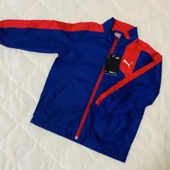 Item thumbnail for item bc74a363-f6a7-4760-ae37-84cb63974276