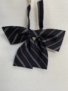 Item thumbnail for item 3007cbca-1e3d-4a6b-afdc-0896007fe43f