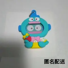 【匿名配送】いちご新聞50周年記念 フォトバッジ付きマスコット ハンギョドン