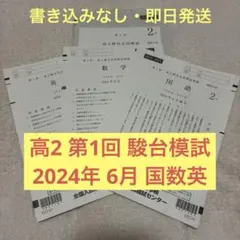 2026年最新】駿台全国模試 2024 高3の人気アイテム - メルカリ