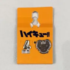ハイキュー アベイル ピンズセット 木兎 梟谷