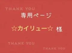 ☆カイリュー☆様専用ページです。