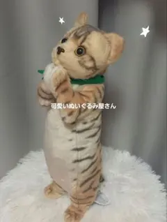 2026年最新】たっちzooにゃんこの人気アイテム - メルカリ