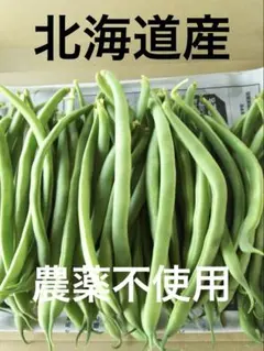 北海道産 インゲン豆 ネコポスのサムネイル