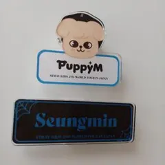 Stray Kids スキズ スンミン パピーム ネームバッチ 公式