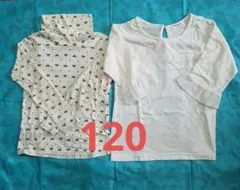 627 子供服 女の子 五分袖長袖Tシャツ2枚セット 120