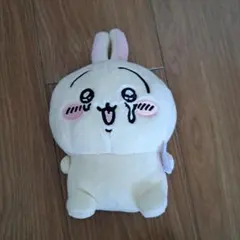 Item thumbnail for item f9a40017-9ec9-40c2-95fb-c0ddbe4b7759