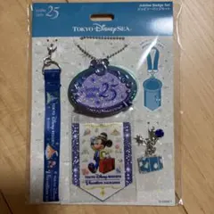 ディズニーシー 25周年ジュビリーセットケーションパッケージ非売品トイストーリー