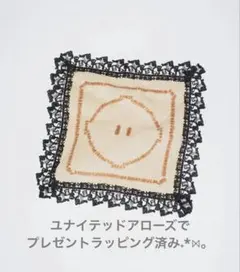 近沢レース　for UNITED ARROWS 発気揚々