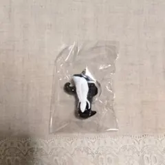 シーワールド しあがってるシャチ めじるしチャーム　細マッチョシャチ　NEWS