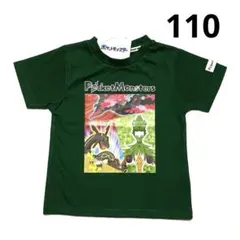 ★ポケットモンスター★Tシャツ★半袖★ガラルファイヤー★オリーヴァ★新品★110
