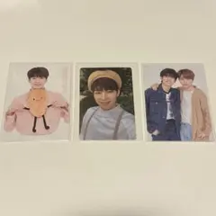 SEVENTEEN セブチ ウォヌ ディノ トレカ