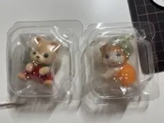 【匿名配送】シルバニア　フルーツパーティ2　2点セット【新品未開封】