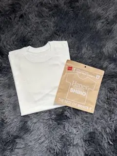 Item thumbnail for item 8f52d925-26ce-4970-abe4-73f3e3b32cc3