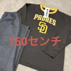 Item thumbnail for item 0fe3ea62-0c9a-4c97-a808-30a813923d7f