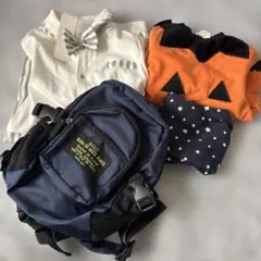 Item thumbnail for item d214c915-a60b-481a-8fc0-bf31ab5a4e53