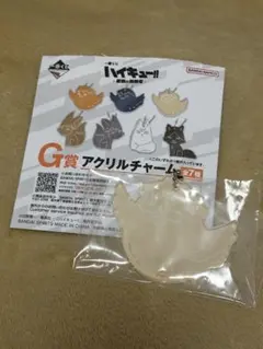 ハイキュー!! G賞 月島 蛍