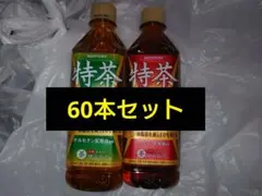 【新品】サントリー 伊右衛門 特茶S PREMIUM 緑茶 ほうじ茶 60本のサムネイル