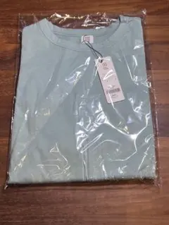 シンプルTシャツ 授乳服 マタニティ服 日本製　ミントグリーン　レディース