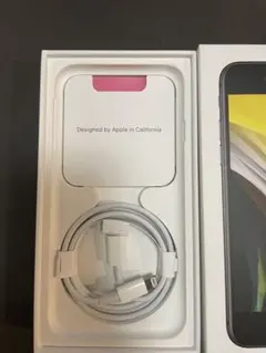 Apple 純正ケーブルと取り出しピンUSB-C to Lightning