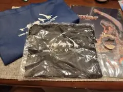 Item thumbnail for item 56edd195-b80c-406f-821e-4b9560ea8461