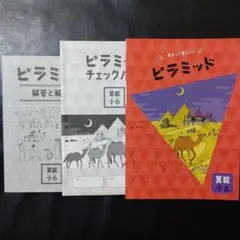ピラミッド 算数 小６ 解答・確認テスト付 ６年 最新版 新品