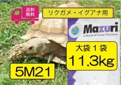 リクガメフード 11.33㌔ - メルカリ
