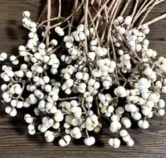 2025年最新】ドライフラワー ナンキンハゼの人気アイテム - メルカリ