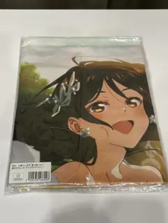 彼女、お借りします 4期 水原千鶴 B2タペストリー ソフマップ 上巻購入
