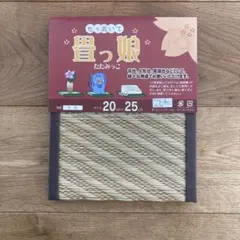 Item thumbnail for item f554a434-d702-4188-9cfb-3c385f00426f