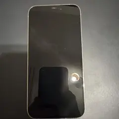 iPhone 12 PRO MAX 256G