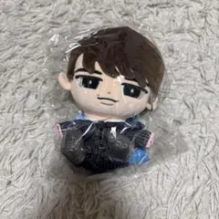 【新品、未開封】SnowMan 渡辺翔太 すのチル BIGぬいぐるみ