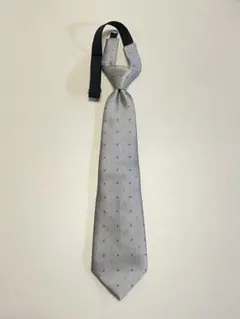 Item thumbnail for item bfa0762e-e359-4ebd-b65b-f554a090bd48