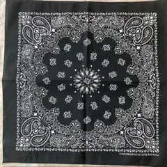 HAV-A-HANK ペイズリーバンダナ Black