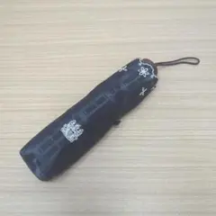 アクアスキュータム　折りたたみ傘　晴雨兼用 チェック柄　刺繍のサムネイル