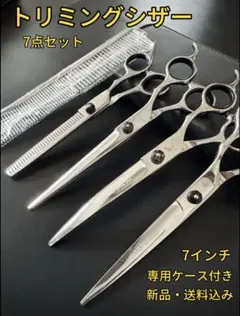 Item thumbnail for item bfffd985-20e5-4ea2-b6ae-27827e8ea219