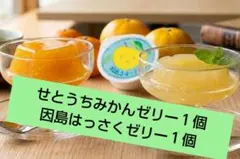 【瀬戸内柑橘】みかんゼリー＆因島はっさくゼリー 食べ比べセットのサムネイル