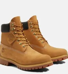 Item thumbnail for item 85cc5741-00e2-41f1-8afd-6c9666c822c7