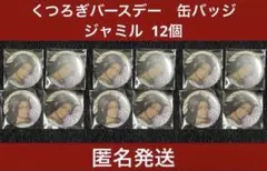 匿名発送　ジャミル　くつろぎバースデー　缶バッジ　12個　ツイステ 匿名発送 ジャミル くつろぎバースデー 缶バッジ 12個 ツイステ - メルカリ