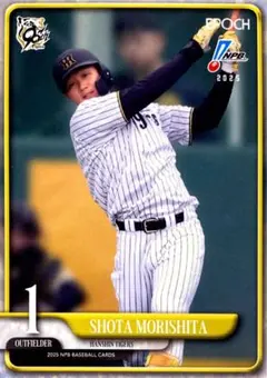 のりこ様 リクエスト 4点 まとめ商品