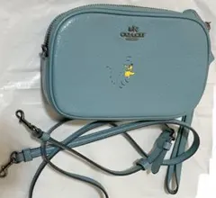 稀少　COACH コーチ　スヌーピー ショルダーバッグ　ポーチ ピーナッツ