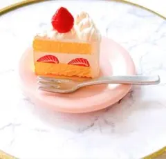 鶴橋様 リクエスト 2点 まとめ商品