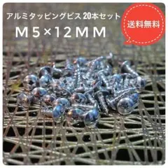アルミタッピングビスM5×12mm 20本 バイク 原付 外装 おしゃれイベントのサムネイル